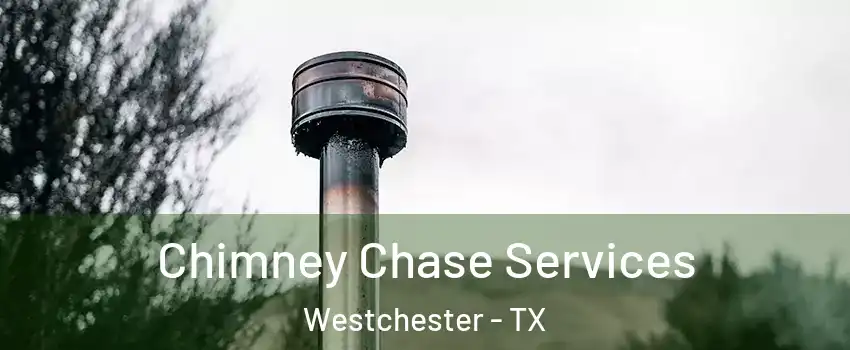 Chimney Chase Services Westchester - TX