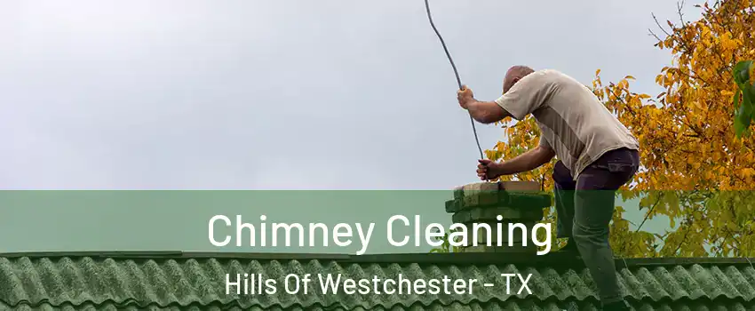 Chimney Cleaning Hills Of Westchester - TX