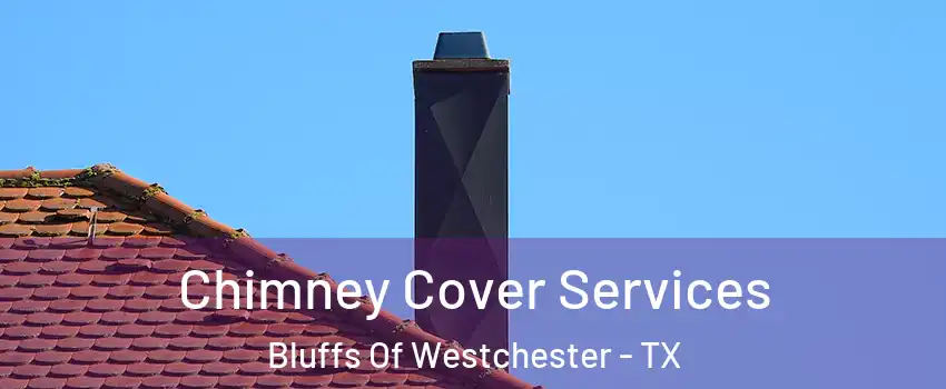 Chimney Cover Services Bluffs Of Westchester - TX