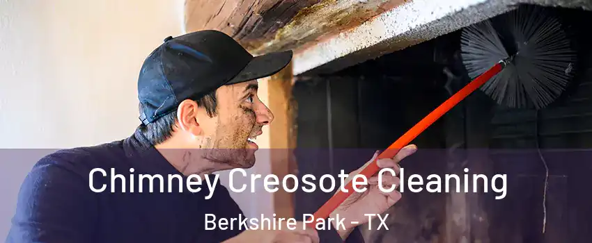 Chimney Creosote Cleaning Berkshire Park - TX