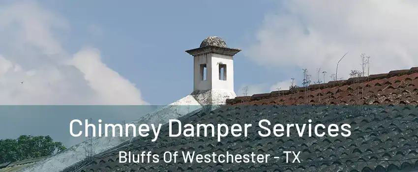 Chimney Damper Services Bluffs Of Westchester - TX