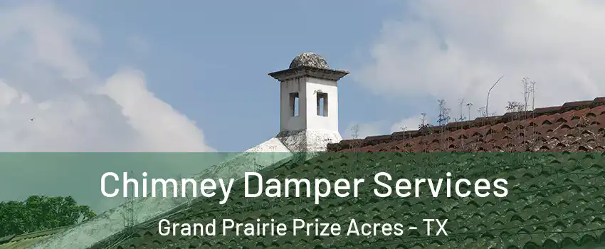 Chimney Damper Services Grand Prairie Prize Acres - TX