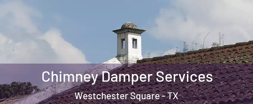 Chimney Damper Services Westchester Square - TX