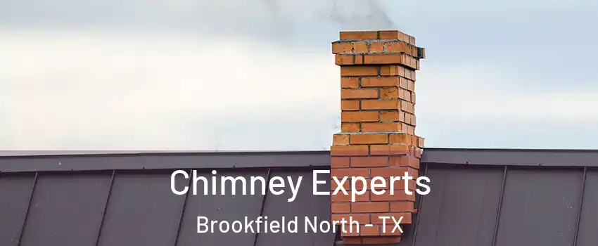 Chimney Experts Brookfield North - TX