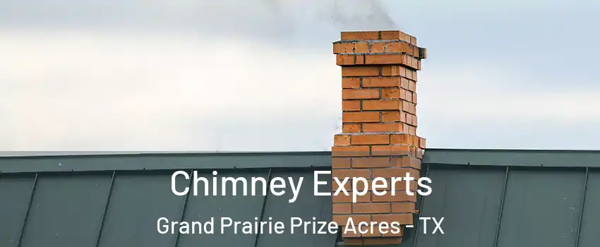 Chimney Experts Grand Prairie Prize Acres - TX