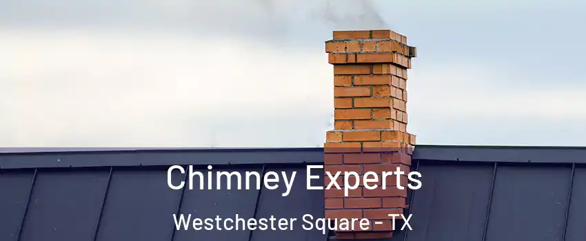 Chimney Experts Westchester Square - TX