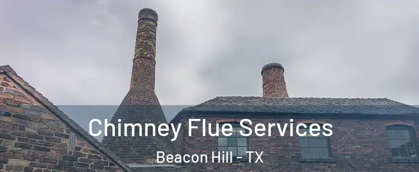 Chimney Flue Services Beacon Hill - TX