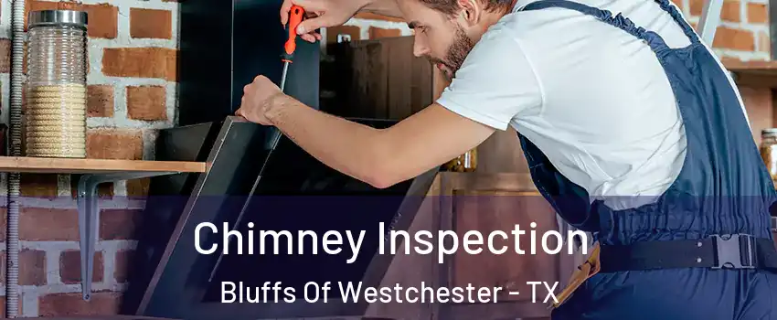 Chimney Inspection Bluffs Of Westchester - TX