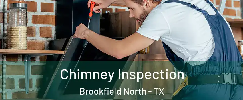 Chimney Inspection Brookfield North - TX