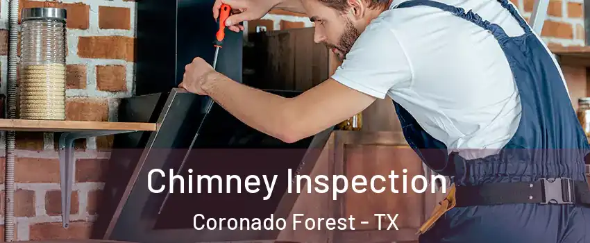 Chimney Inspection Coronado Forest - TX