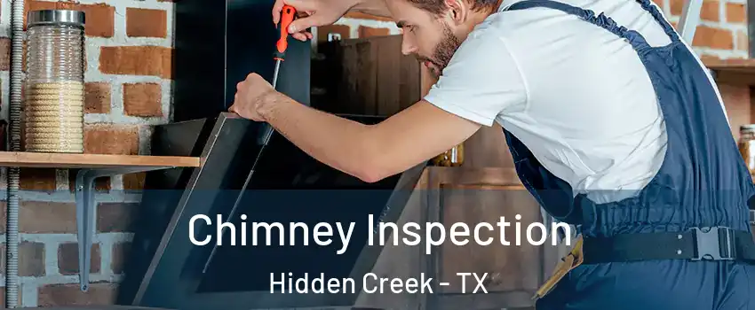 Chimney Inspection Hidden Creek - TX