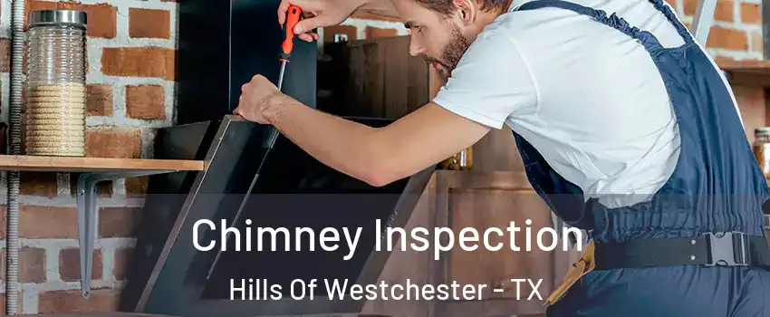 Chimney Inspection Hills Of Westchester - TX