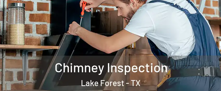 Chimney Inspection Lake Forest - TX