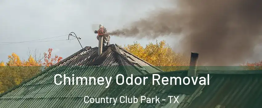 Chimney Odor Removal Country Club Park - TX