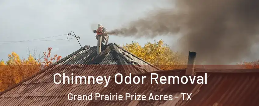 Chimney Odor Removal Grand Prairie Prize Acres - TX