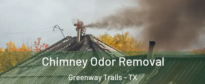 Chimney Odor Removal Greenway Trails - TX
