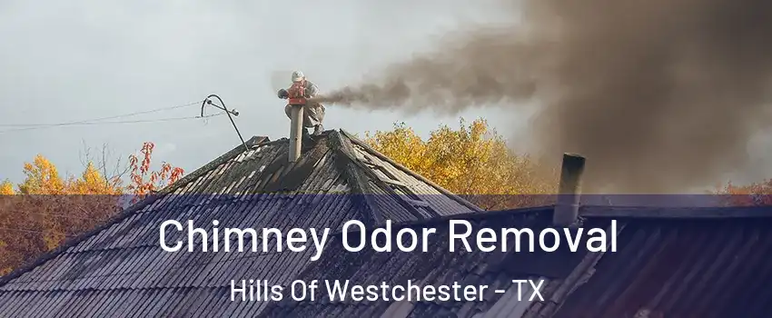 Chimney Odor Removal Hills Of Westchester - TX