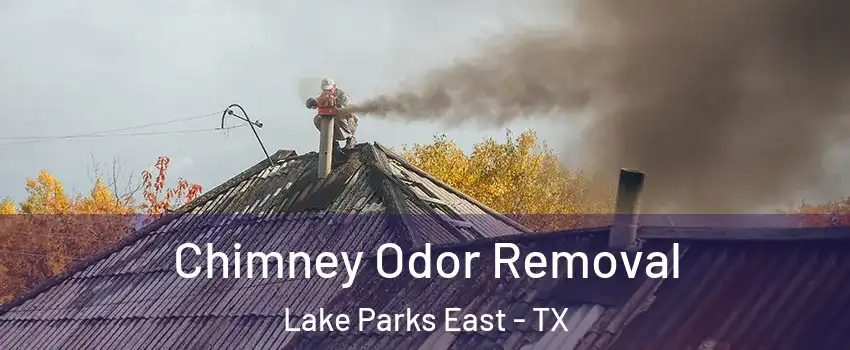 Chimney Odor Removal Lake Parks East - TX