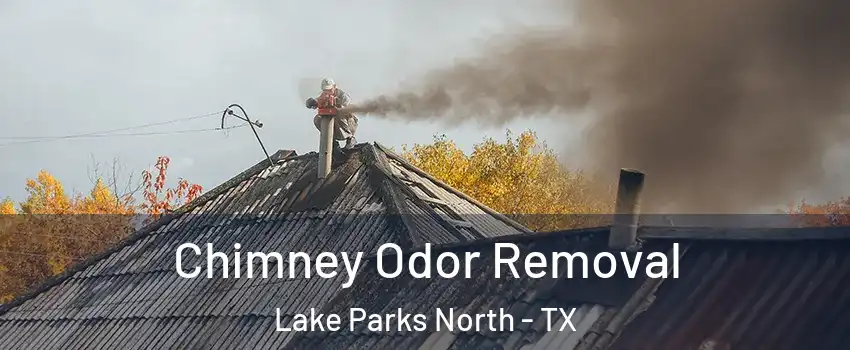 Chimney Odor Removal Lake Parks North - TX