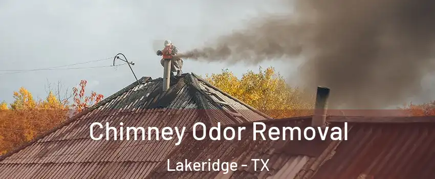 Chimney Odor Removal Lakeridge - TX