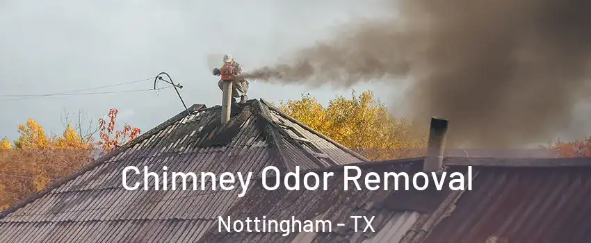 Chimney Odor Removal Nottingham - TX