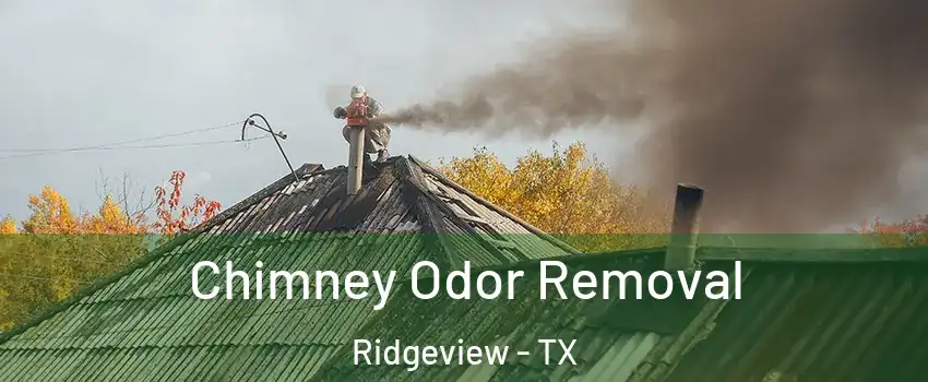 Chimney Odor Removal Ridgeview - TX