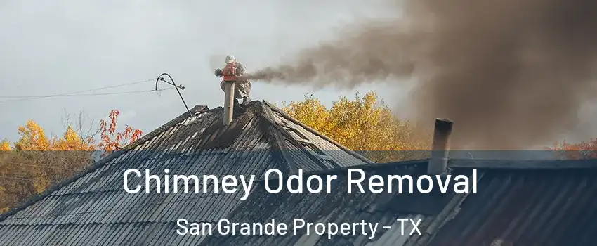 Chimney Odor Removal San Grande Property - TX