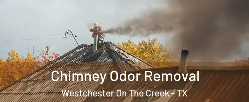 Chimney Odor Removal Westchester On The Creek - TX