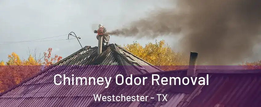 Chimney Odor Removal Westchester - TX