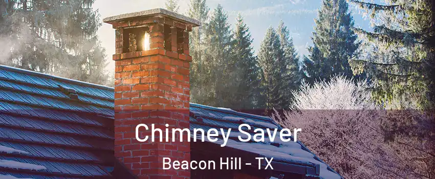 Chimney Saver Beacon Hill - TX