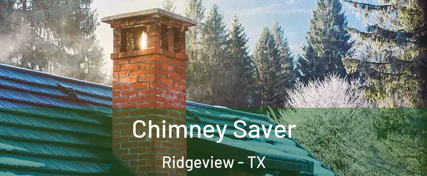 Chimney Saver Ridgeview - TX