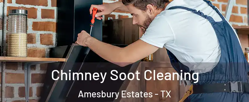 Chimney Soot Cleaning Amesbury Estates - TX