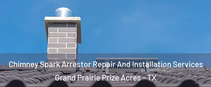 Chimney Spark Arrestor Repair And Installation Services Grand Prairie Prize Acres - TX