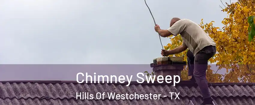 Chimney Sweep Hills Of Westchester - TX