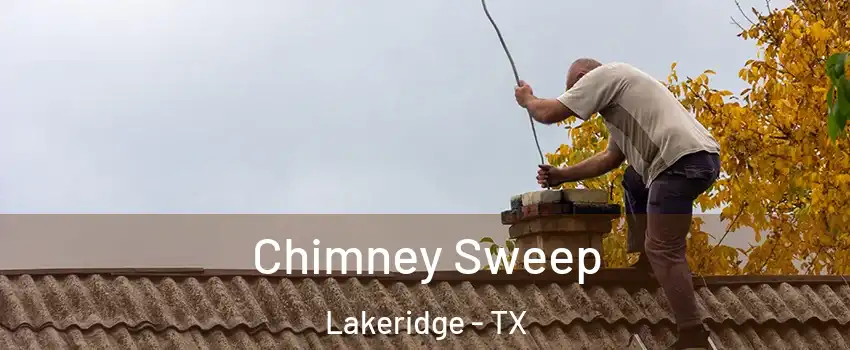 Chimney Sweep Lakeridge - TX