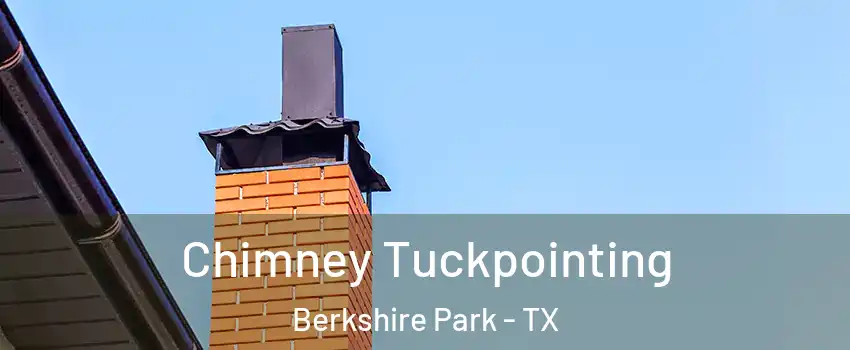 Chimney Tuckpointing Berkshire Park - TX