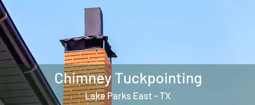 Chimney Tuckpointing Lake Parks East - TX