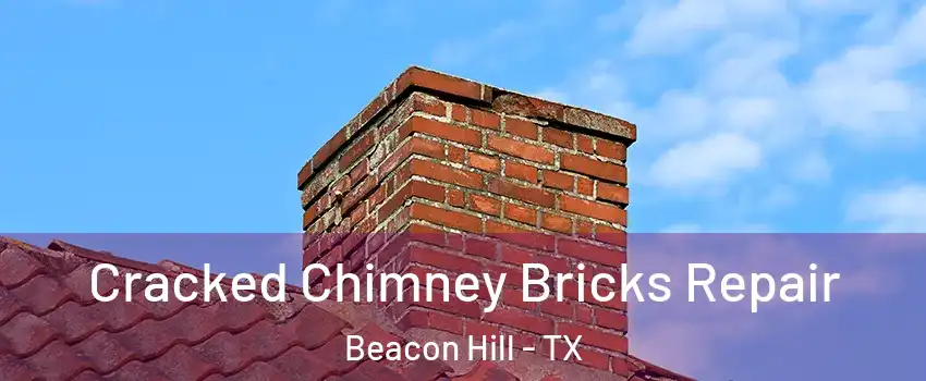 Cracked Chimney Bricks Repair Beacon Hill - TX