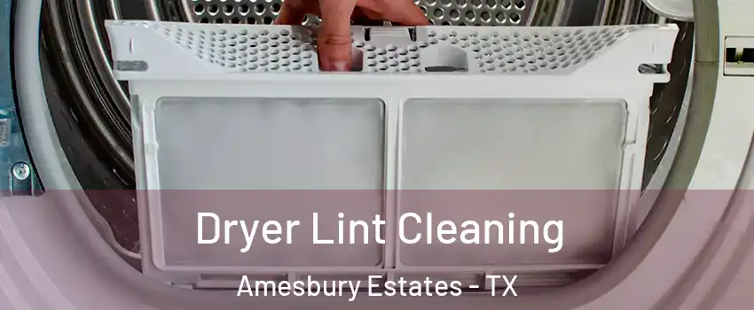 Dryer Lint Cleaning Amesbury Estates - TX