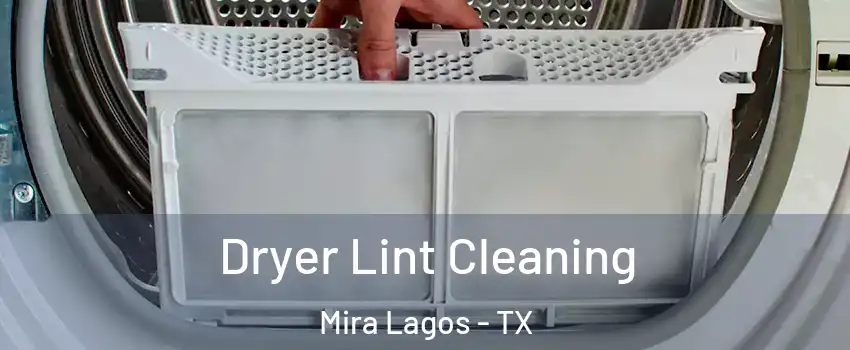 Dryer Lint Cleaning Mira Lagos - TX