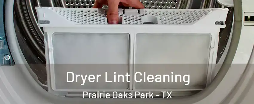 Dryer Lint Cleaning Prairie Oaks Park - TX