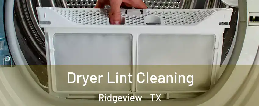 Dryer Lint Cleaning Ridgeview - TX