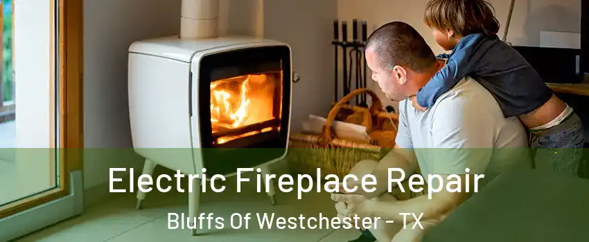 Electric Fireplace Repair Bluffs Of Westchester - TX
