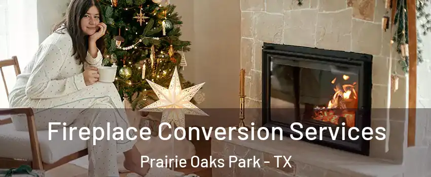 Fireplace Conversion Services Prairie Oaks Park - TX
