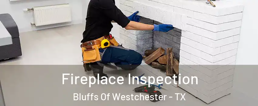 Fireplace Inspection Bluffs Of Westchester - TX