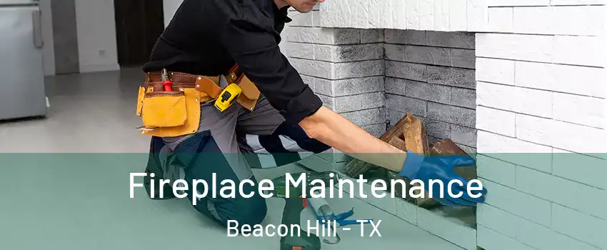 Fireplace Maintenance Beacon Hill - TX