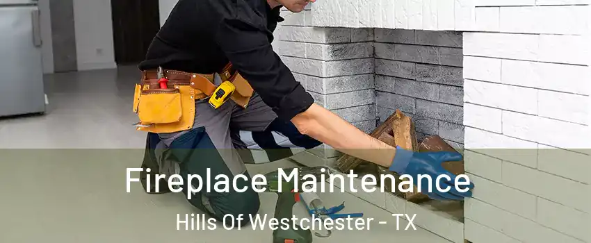 Fireplace Maintenance Hills Of Westchester - TX