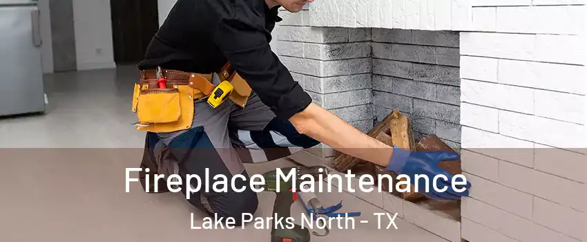 Fireplace Maintenance Lake Parks North - TX