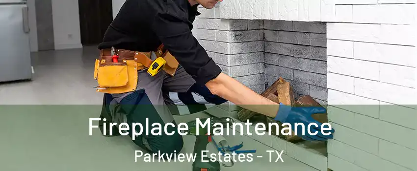 Fireplace Maintenance Parkview Estates - TX