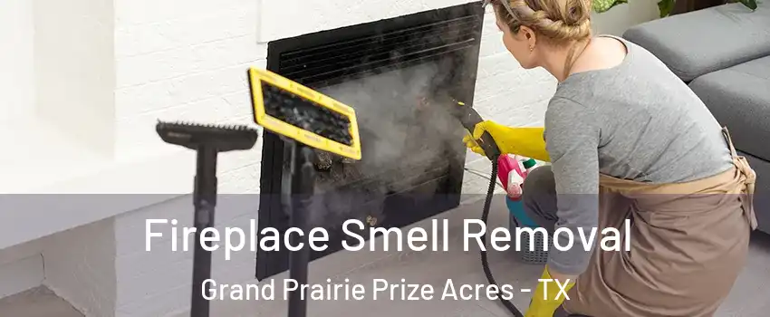 Fireplace Smell Removal Grand Prairie Prize Acres - TX